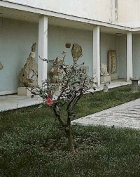 ARCHAEOLOGICAL MUSEUM OF TINOS